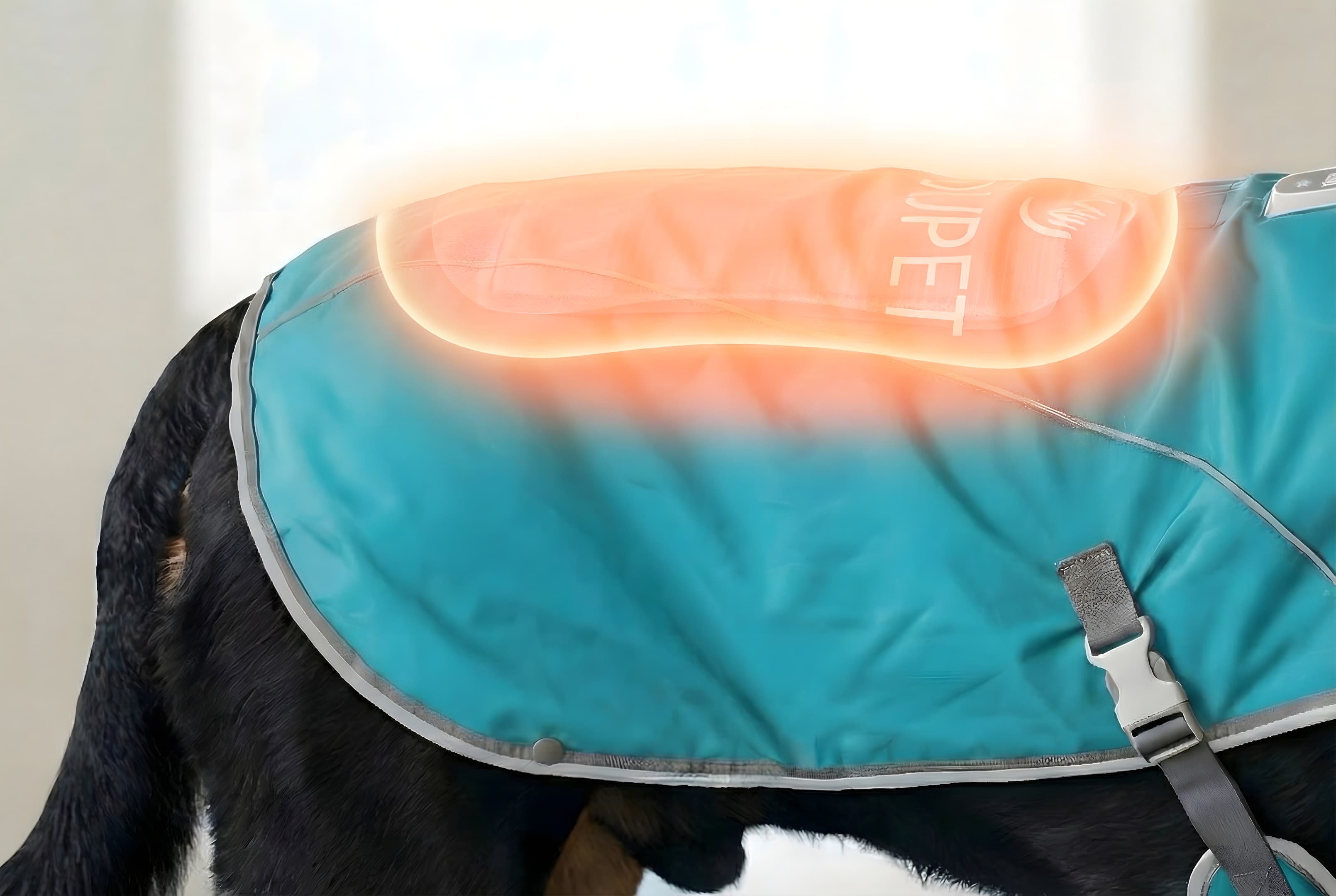 Optional back heating