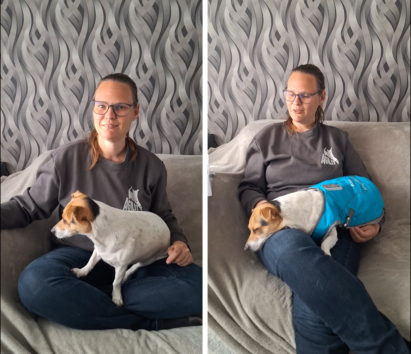 Honden ontspannen met het ANDUPET-jasje aan, voor en na